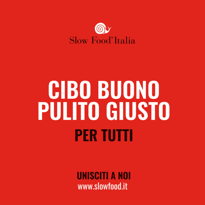 Carlo Petrini. Slow Food.